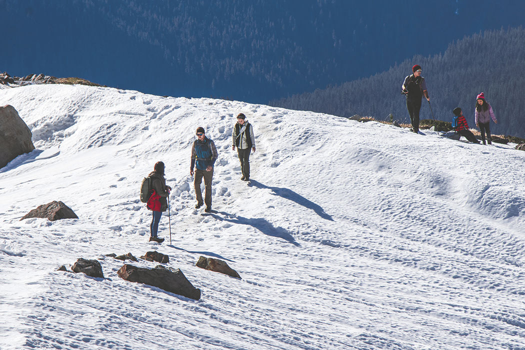 Photos: From Paradise in Mount Rainier National Park